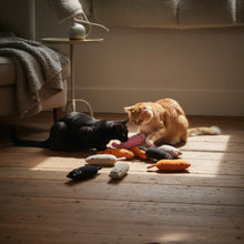 Katzenspielzeug Katzenminze - "Catnip"