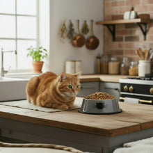 Katzen Futternapf Grau