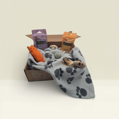 Geschenk-Box Premium (Katzen)