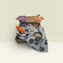 Geschenk-Box Comfort (Katzen)