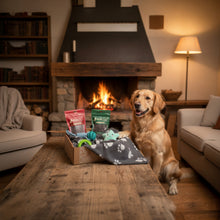 Geschenk-Box Premium (Hunde)