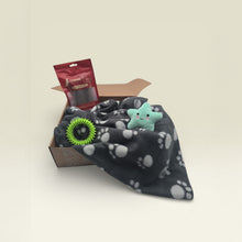 Geschenk-Box Basic (Hunde)