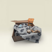 Geschenk-Box Basic (Katzen)