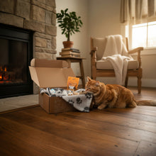 Geschenk-Box Basic (Katzen)