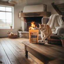 Katzen Leckerli "Lachs"