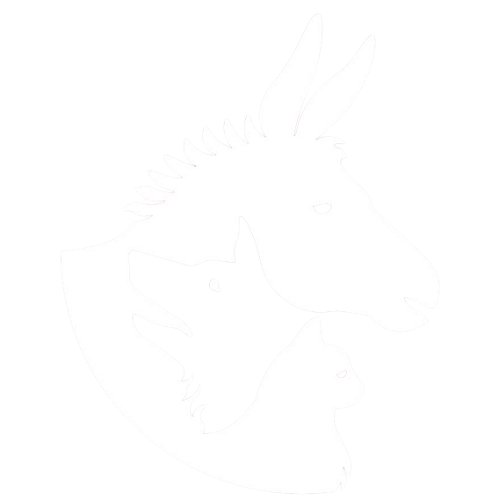 Anam Cara - Mein Haustierbedarf