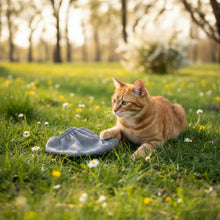 Katzen Netzmaske 1. Hilfe-Box