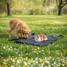 Notfall-Trage für Tiere