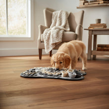 Hunde Schnüffelteppich