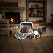 Starter-Box Comfort (Katzen)
