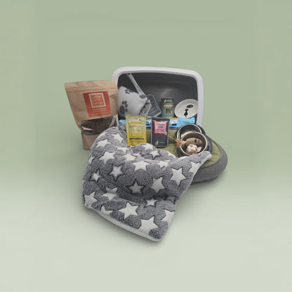 Starter-Box Basic (Katzen)