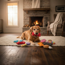 Hundespielzeug Quietsch-Plüschtier