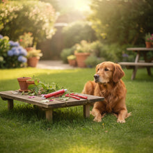 Zeckenentferner Hunde